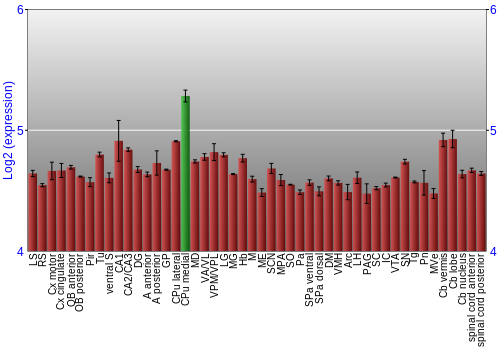 Multi-state expression graph