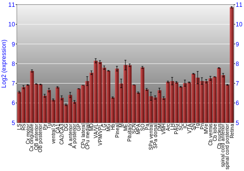 Expression graph