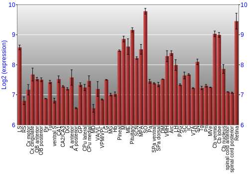 Expression graph