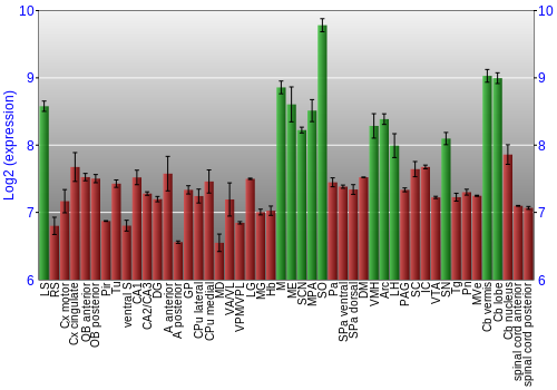 Multi-state expression graph