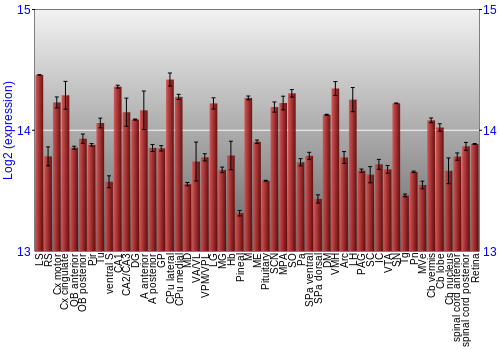 Expression graph