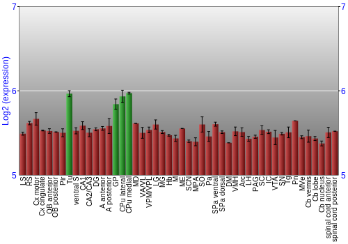 Multi-state expression graph