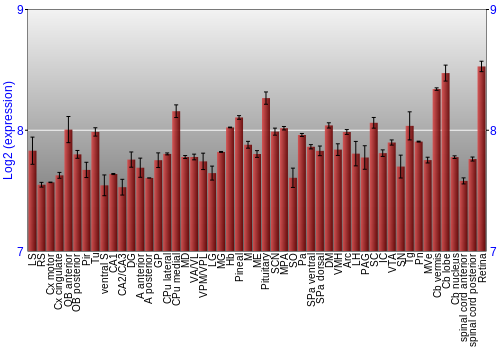 Expression graph