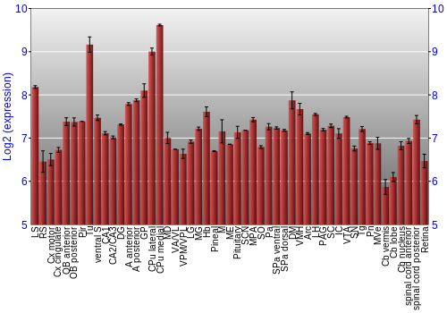 Expression graph