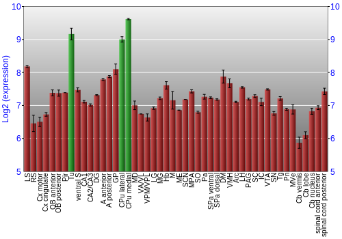 Multi-state expression graph