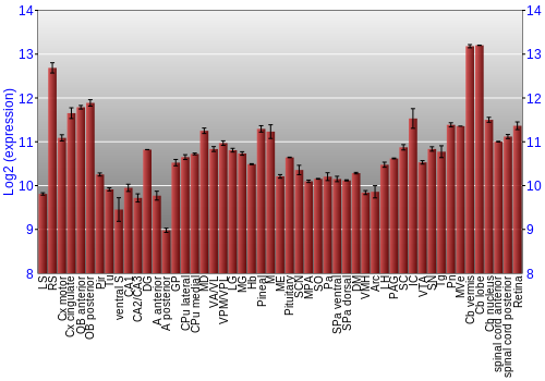 Expression graph