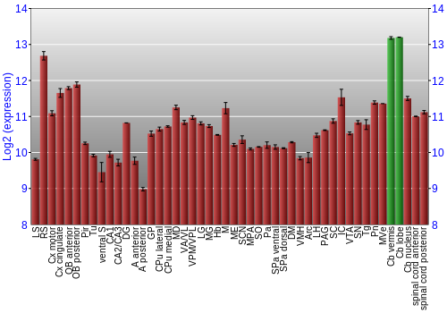 Multi-state expression graph