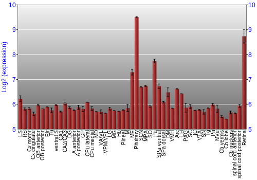 Expression graph
