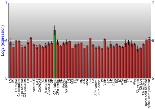 Multi-state expression graph