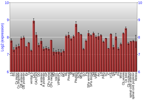 Expression graph