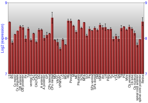 Expression graph