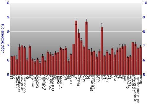 Expression graph
