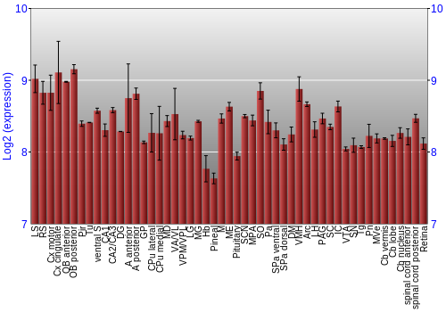 Expression graph