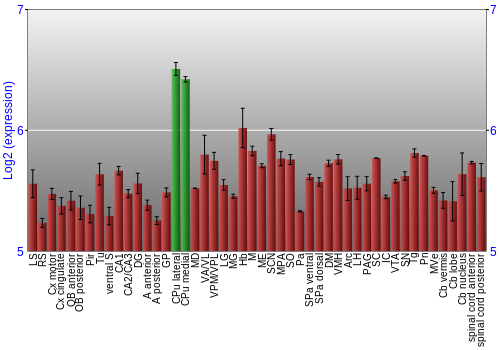 Multi-state expression graph