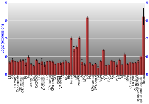 Expression graph