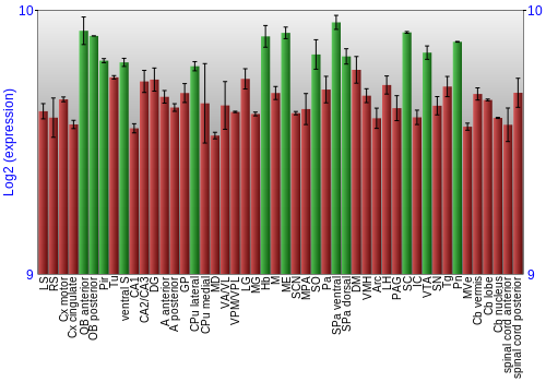Multi-state expression graph