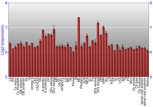 Expression graph
