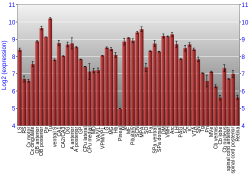 Expression graph