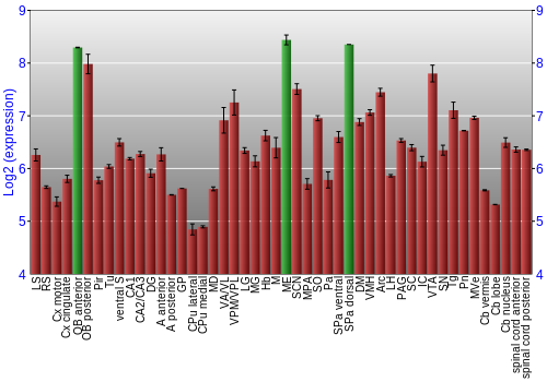 Multi-state expression graph