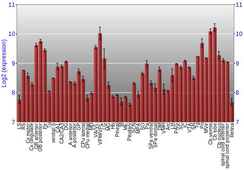 Expression graph
