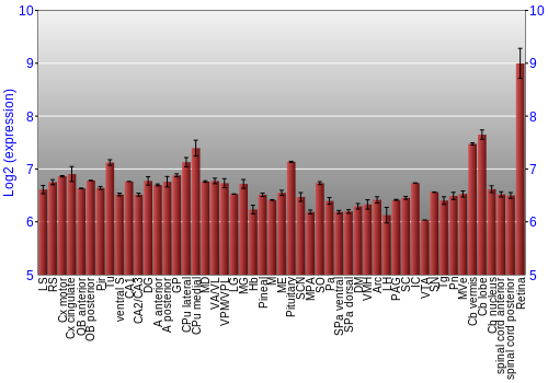 Expression graph