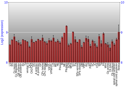Expression graph
