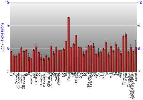 Expression graph
