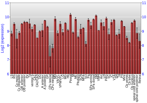 Expression graph
