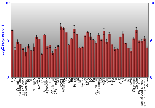 Expression graph