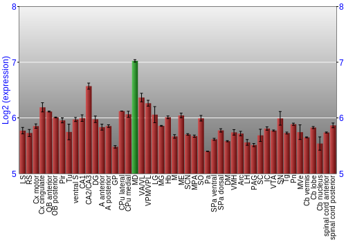 Multi-state expression graph