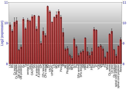 Expression graph