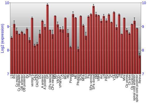 Expression graph