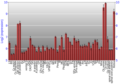 Expression graph