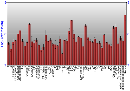 Expression graph