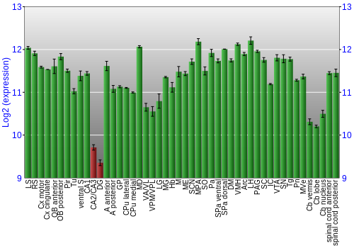 Multi-state expression graph