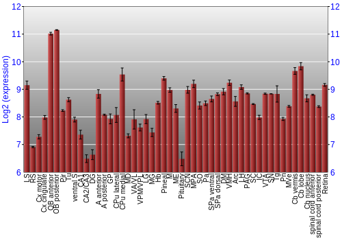 Expression graph