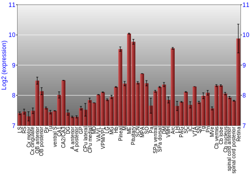 Expression graph