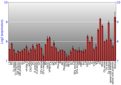 Expression graph