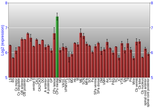 Multi-state expression graph