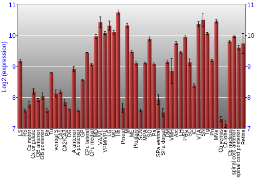 Expression graph