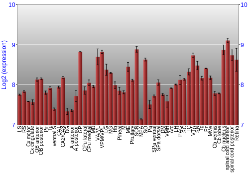 Expression graph