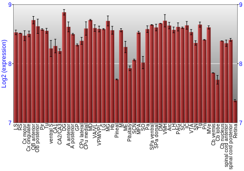 Expression graph