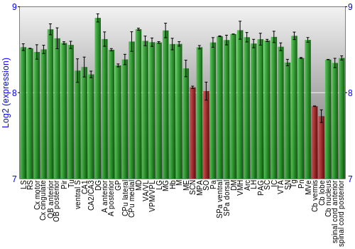 Multi-state expression graph