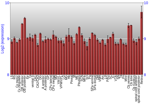Expression graph