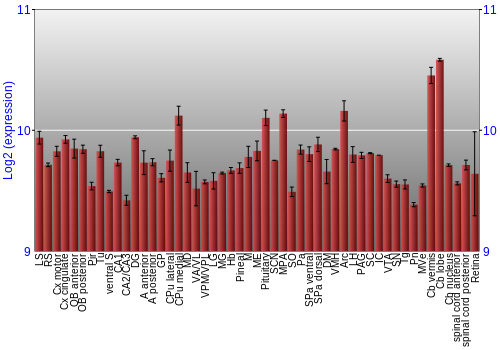 Expression graph