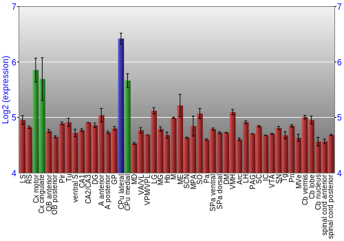 Multi-state expression graph