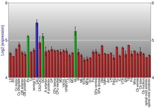 Multi-state expression graph