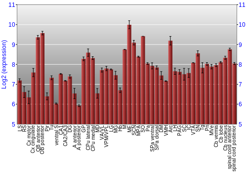 Multi-state expression graph