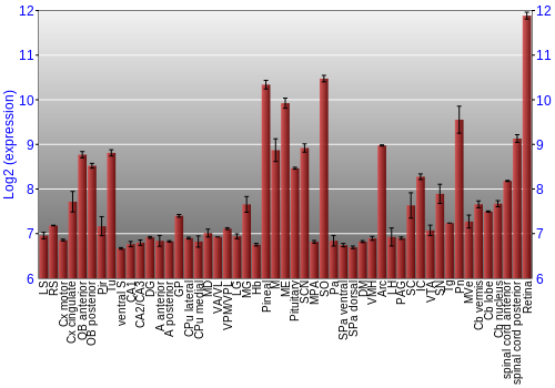 Expression graph