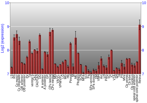 Expression graph